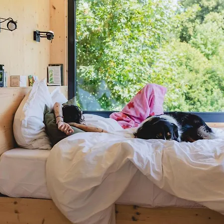 Richecourt - Parcel Tiny House - Tiny House 1 Vue Prairie En Picardie Mae-2213 山林小屋 Mesbrecourt-Richecourt