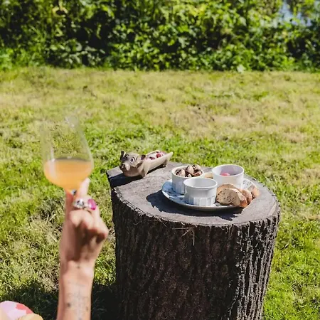 Lodge Richecourt - Parcel Tiny House - Tiny House 1 Vue Prairie En Picardie Mae-2213