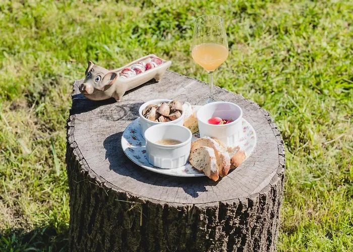 Richecourt - Parcel Tiny House - Tiny House 1 Vue Prairie En Picardie Mae-2213