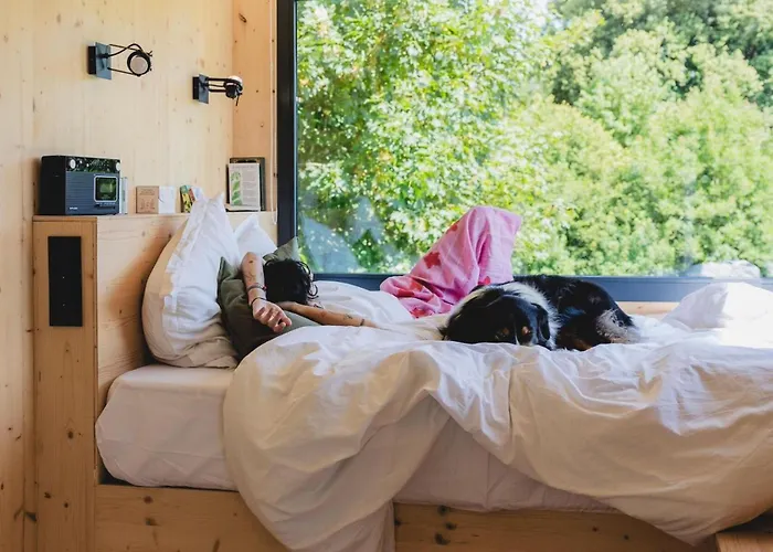 Richecourt - Parcel Tiny House - Tiny House 1 Vue Prairie En Picardie Mae-2213 山林小屋 Mesbrecourt-Richecourt