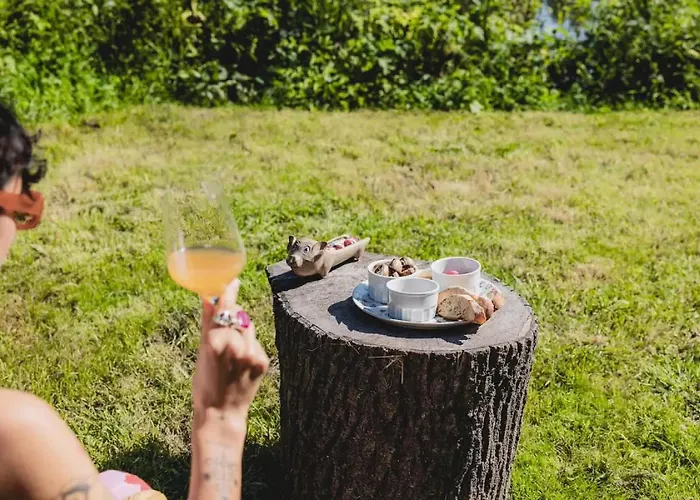 Lodge Richecourt - Parcel Tiny House - Tiny House 1 Vue Prairie En Picardie Mae-2213